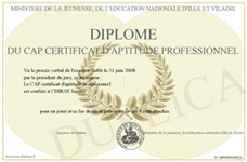 Ejemplo de certificado de aptitud profesional francés